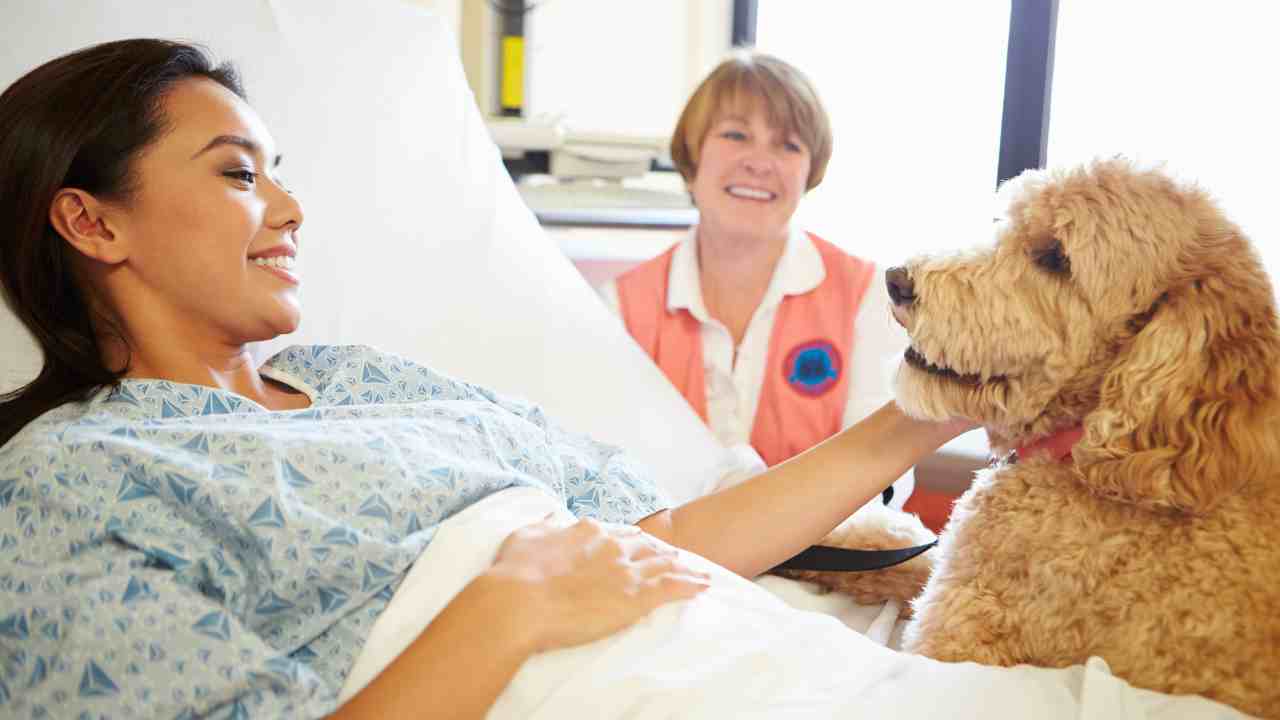 pet therapy cos'è come funziona come si applica importanza