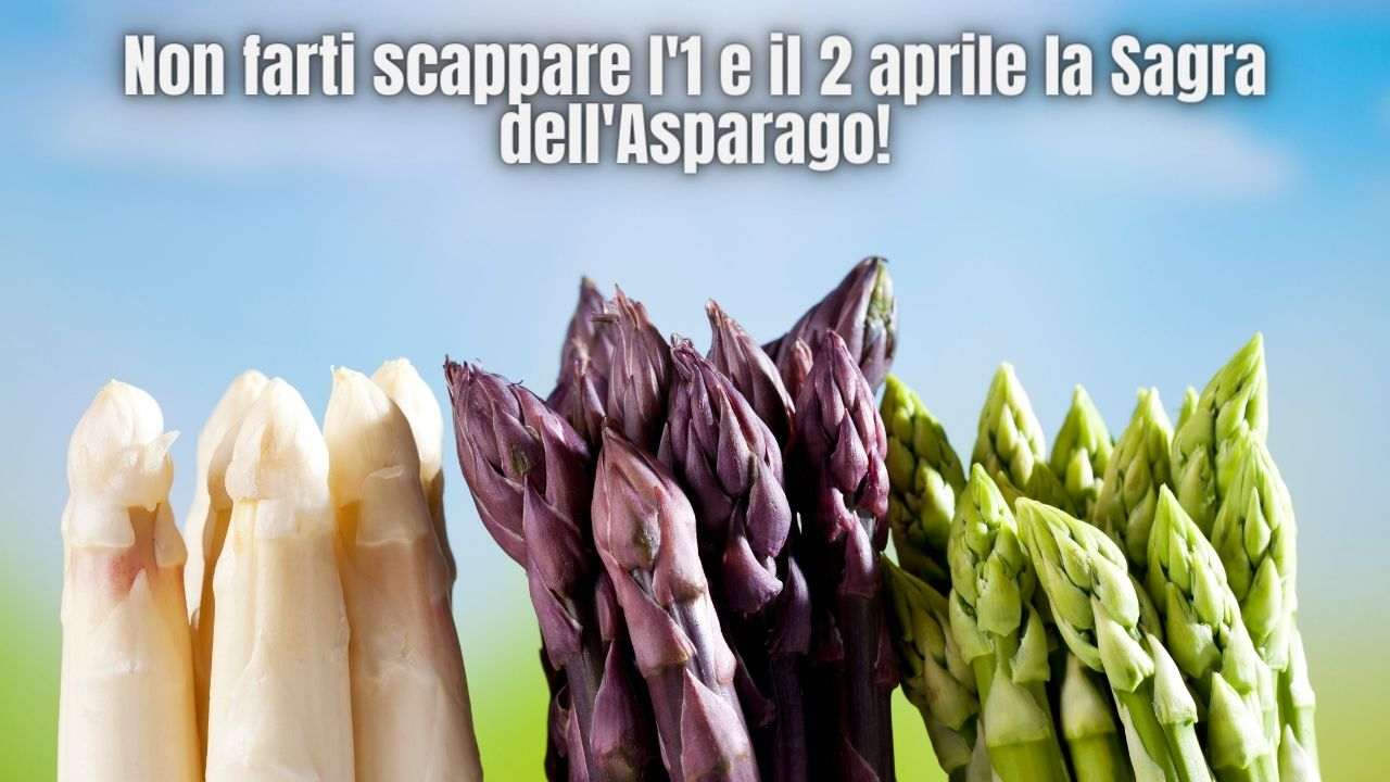 asparagi benefici