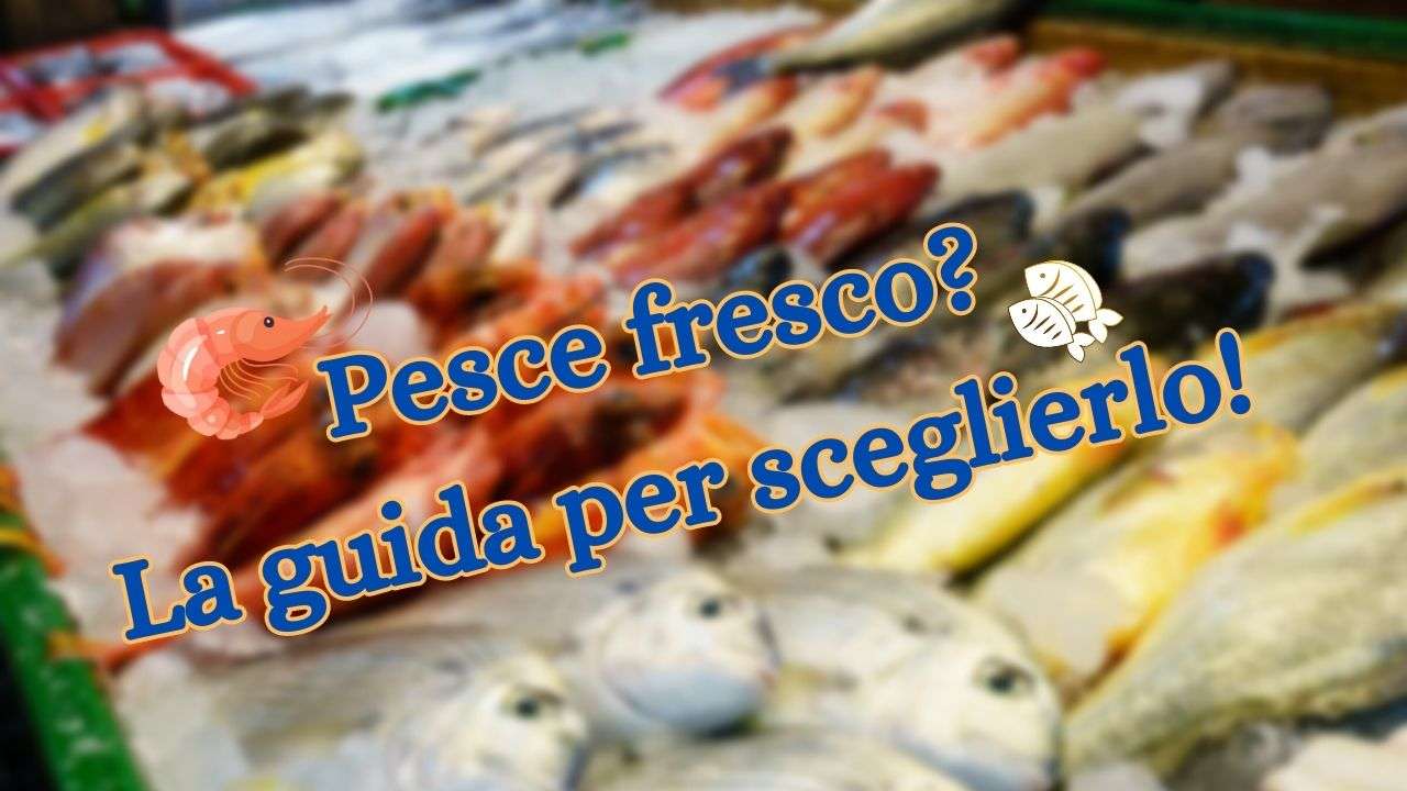 scegliere pesce fresco