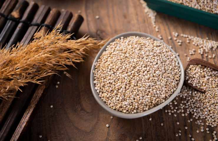 consumare quinoa benefici salute