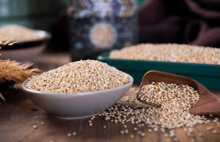 effetti quinoa organismo