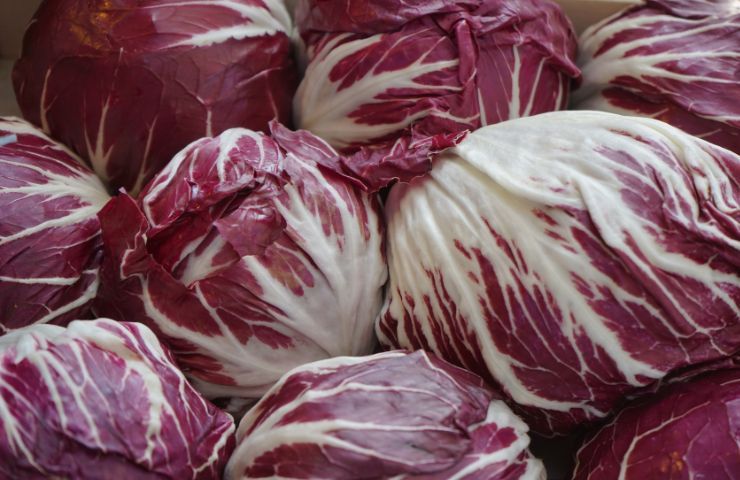 Benefici radicchio