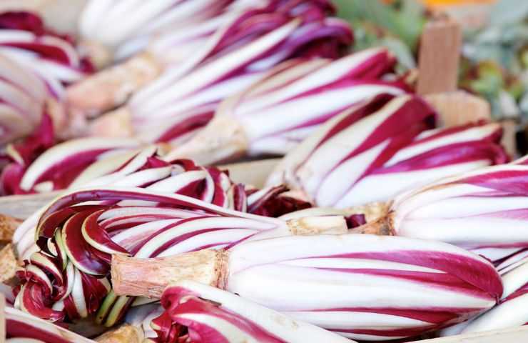 ricette con radicchio