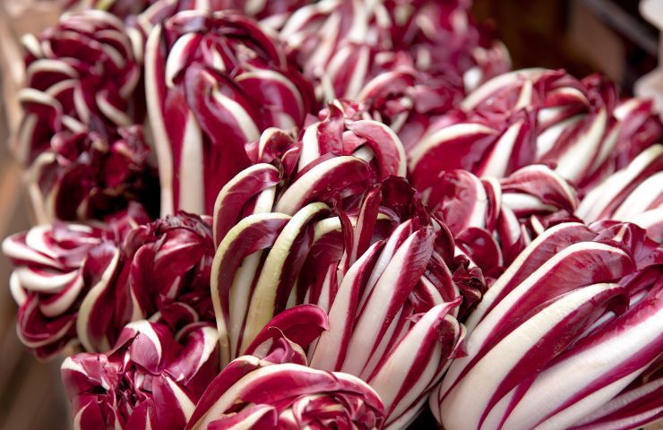 Benefici radicchio