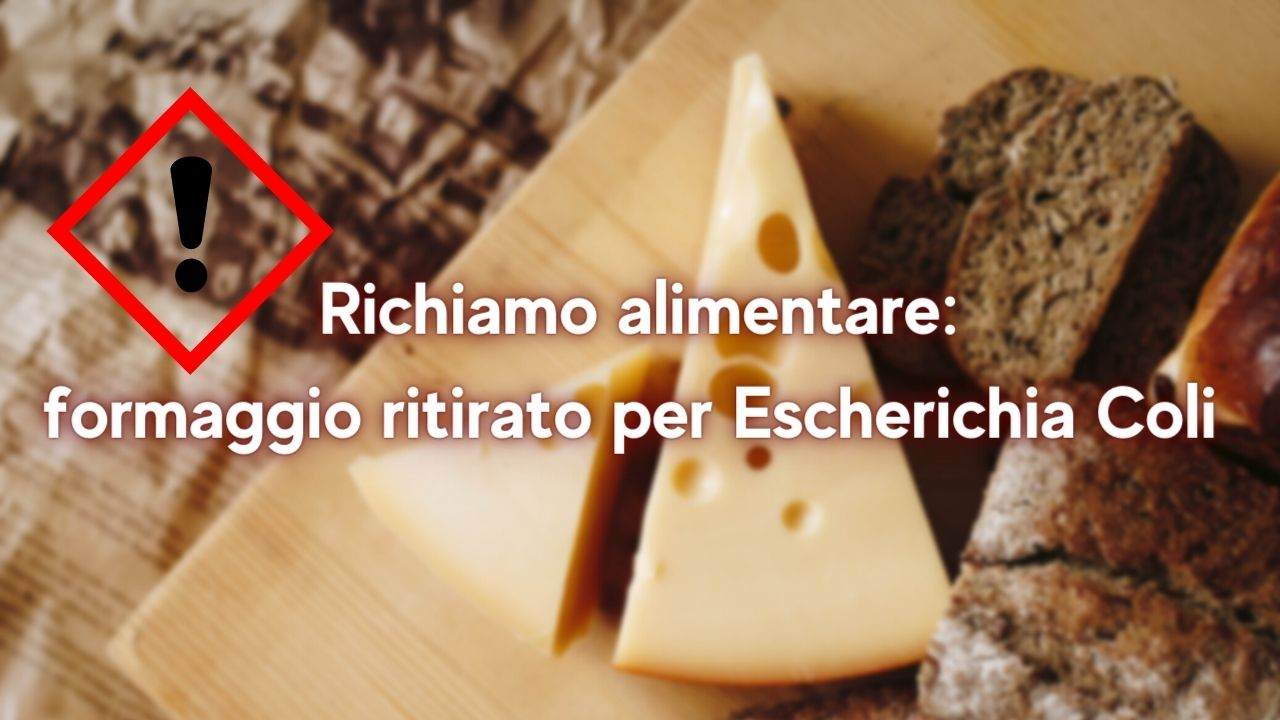 formaggio ritirato batterio