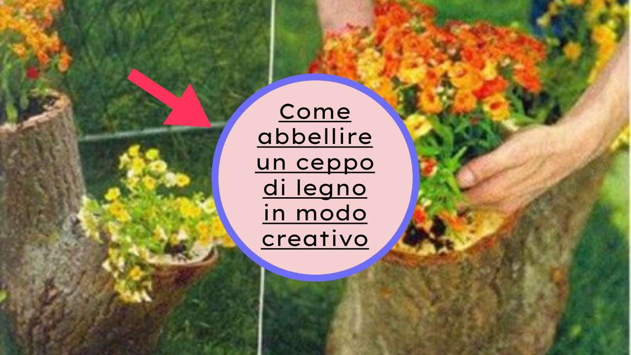 riciclo creativo ceppi legno