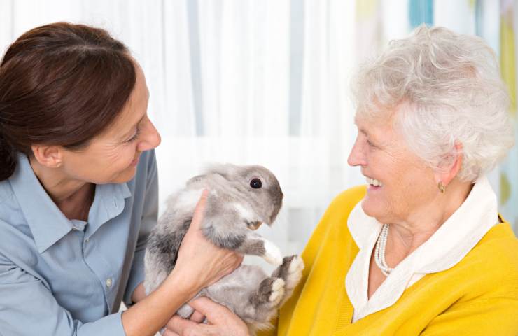 Un bel coniglietto per la Pet therapy