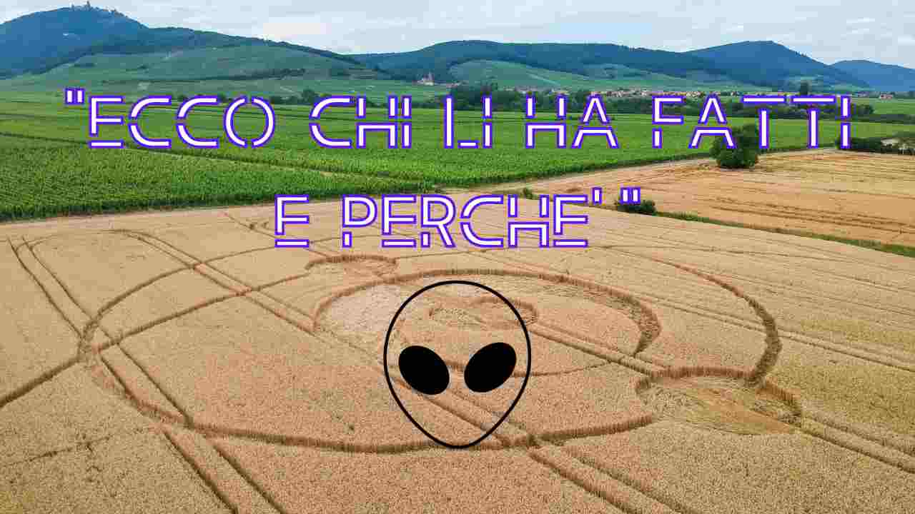 cerchi nel grano verità spiegazione significato alieni extraterrestri