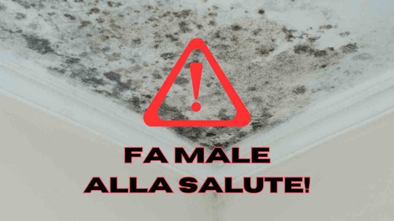 come togliere la muffa con la candeggina bicarbonato aceto fa male