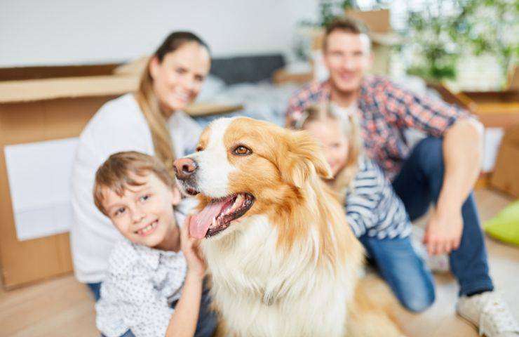 benefici fisici cane