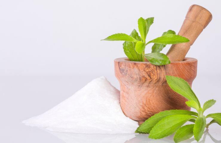 cura pianta stevia