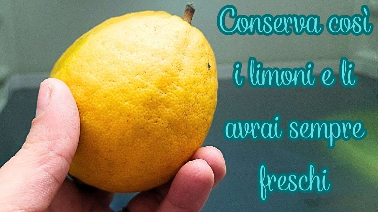 come conservare limoni freschi