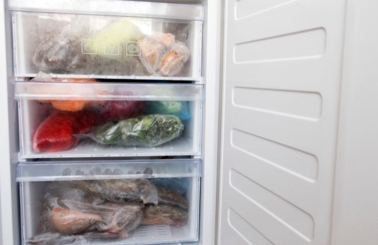 pulizia freezer