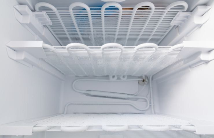 freezer congelato