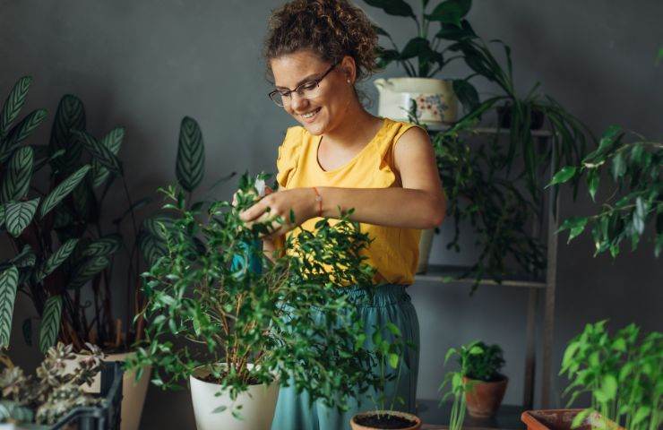 trucco giardinaggio