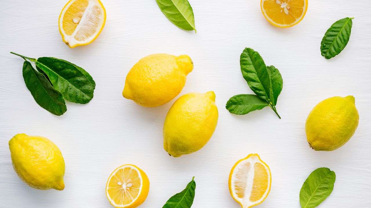 uso limone