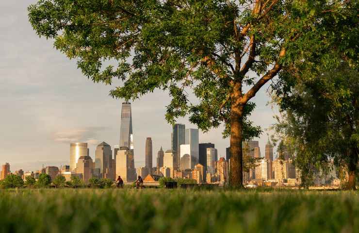 importanza alberi città