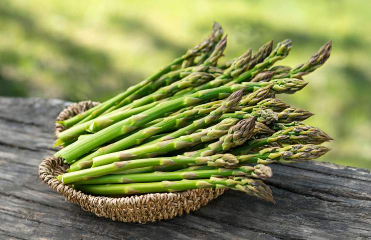 Come coltivare gli asparagi