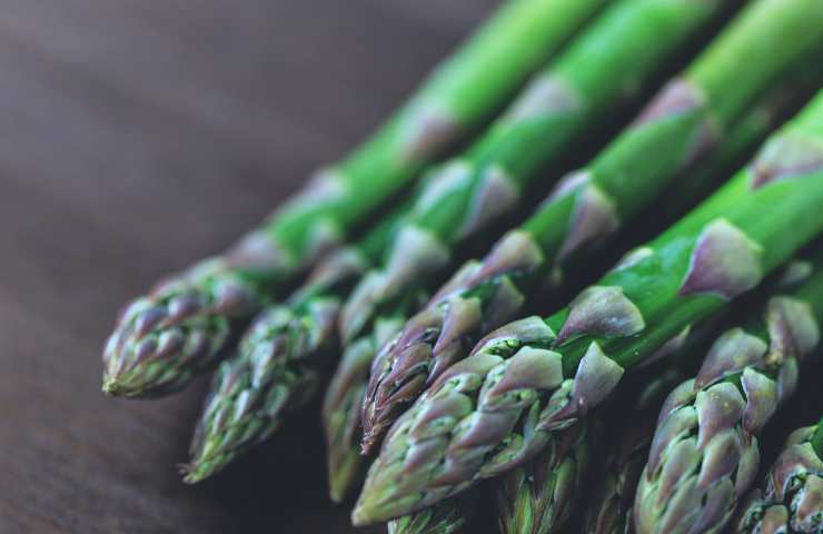 Coltivare gli asparagi