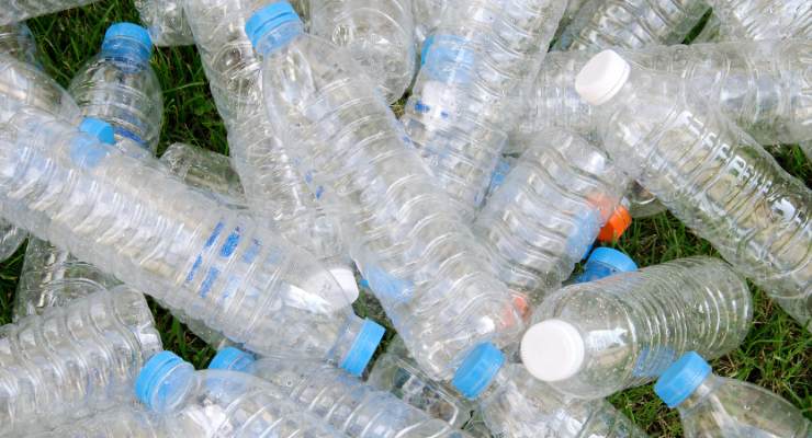 Bottiglie di plastica per coltivare sedano