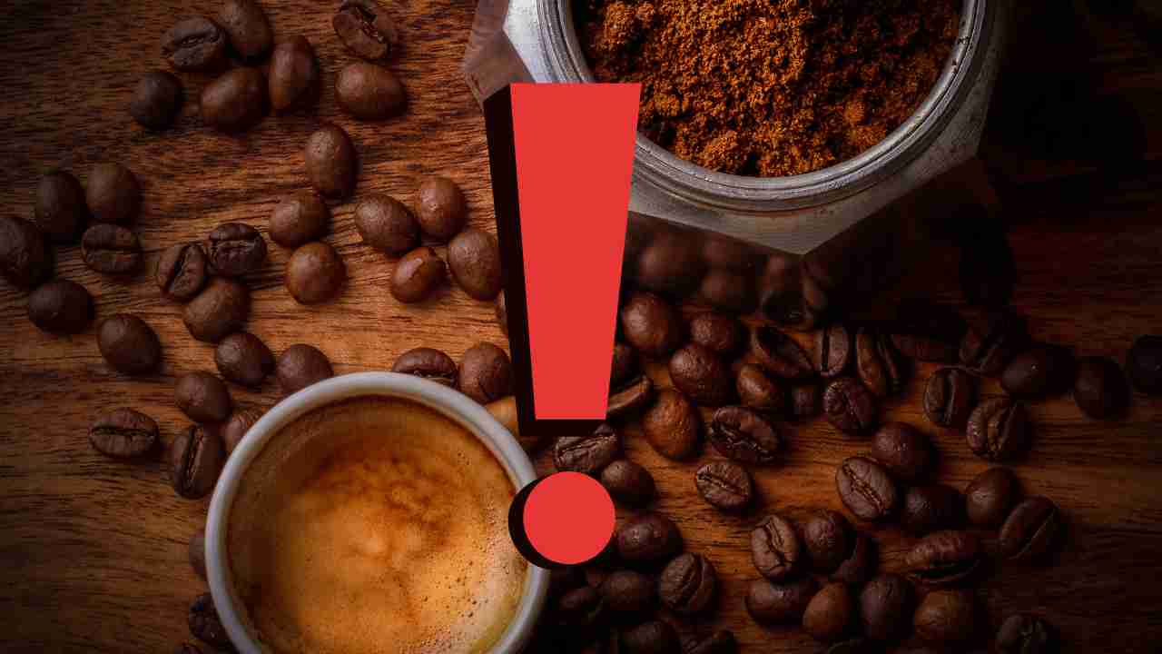 marca di caffè con insetti dentro farina di grillo qual è