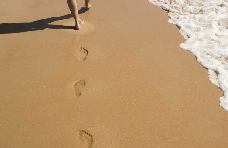 Morning walk