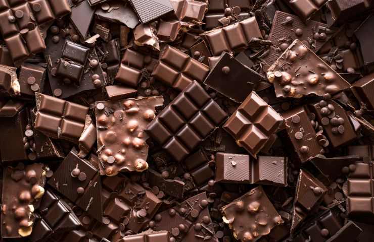 varietà cioccolato agli insetti