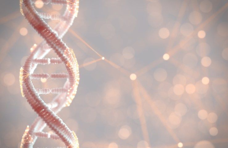 Classica struttura ad elica del DNA umano