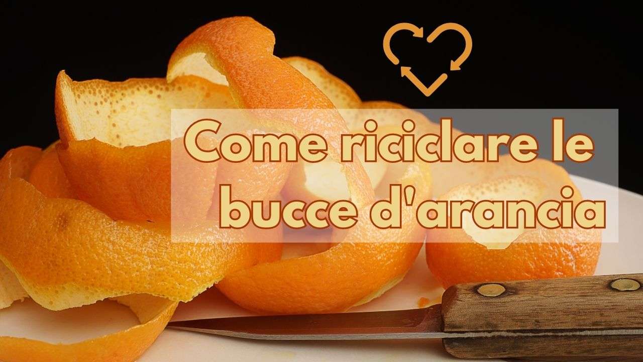 bucce arancia riciclarle