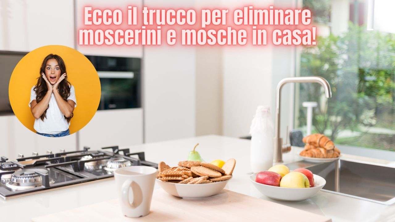 moscerini in casa trucco