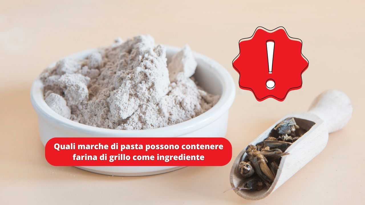 marche pasta farina grillo