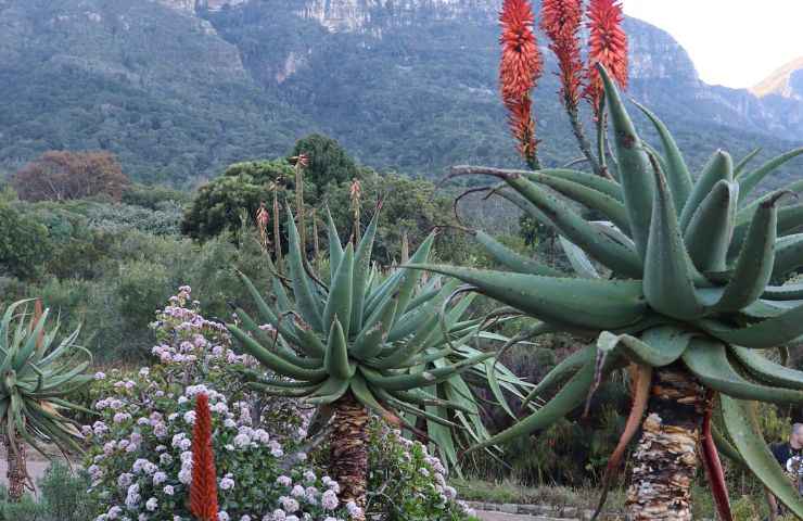 giardini botanici più belli