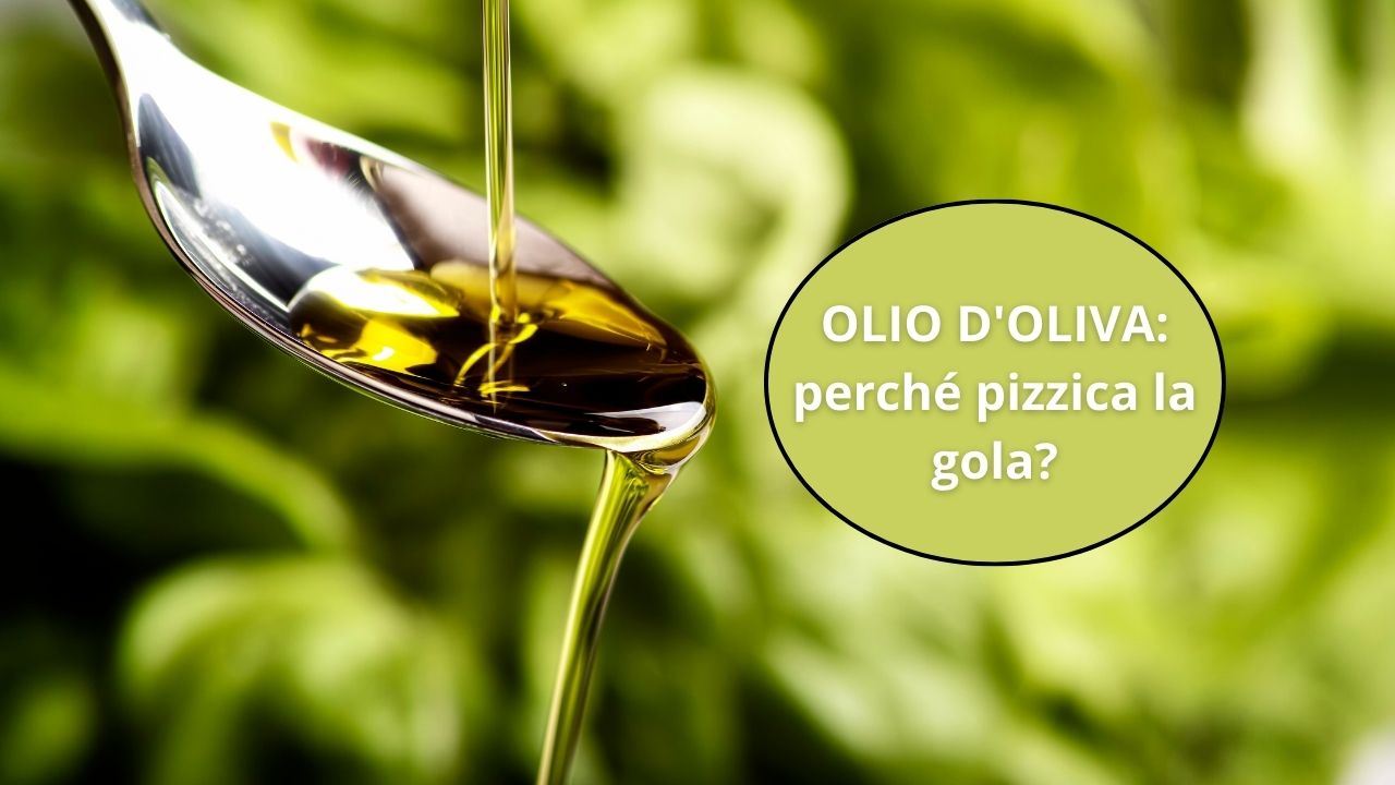 olio oliva pizzica gola