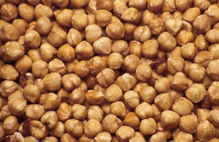 Benefici nocciole