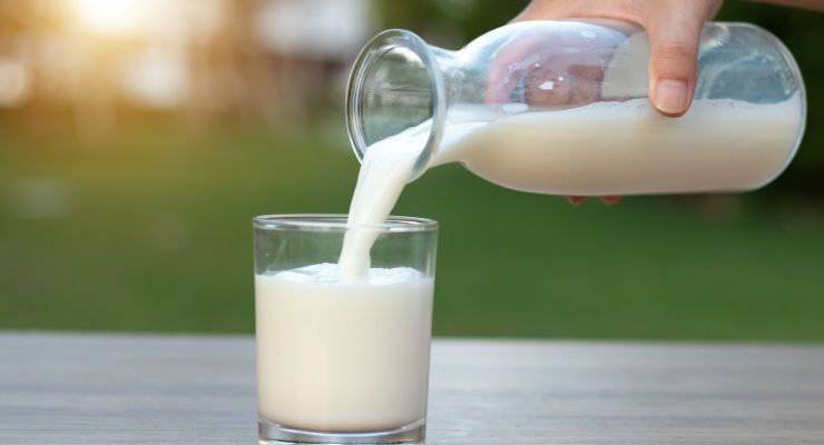 Benefici latte di pecora