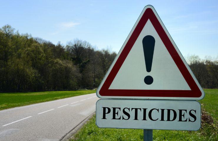 pesticidi nella frutta