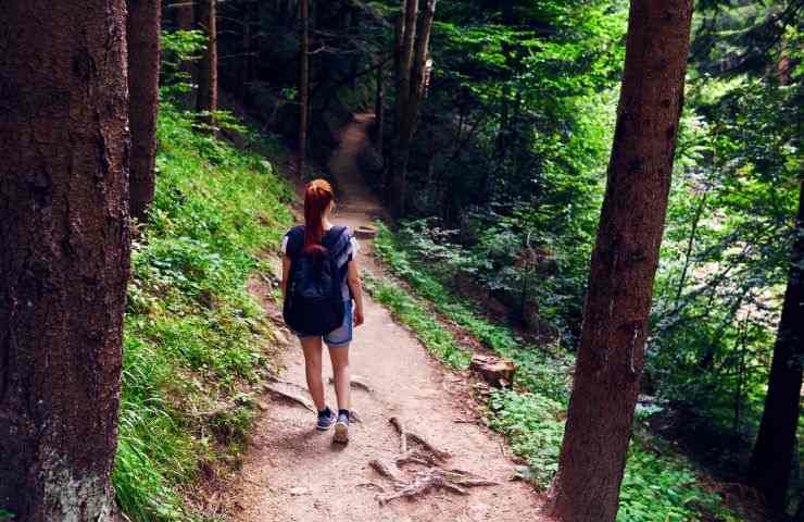 benefici passeggiare meditando