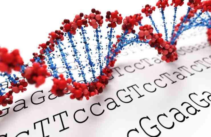 Rappresentazione del DNA umano