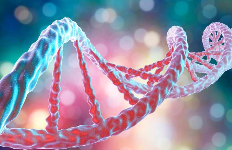 Una tipica ricostruzione di come appare il DNA umano