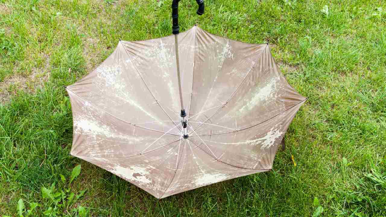 Vecchio ombrello riciclo