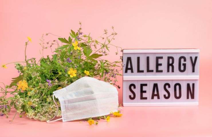allergia cure