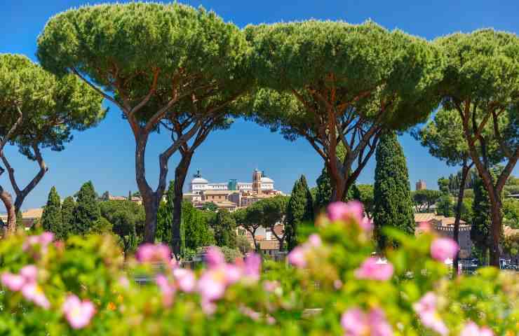 giardinaggio roseti