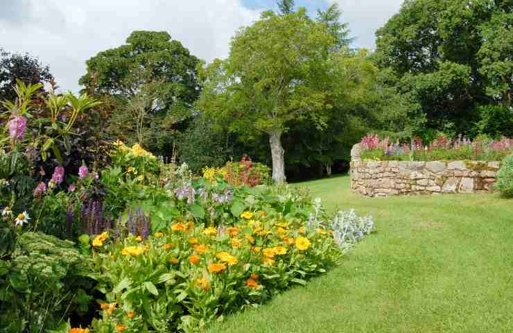 giardino inglese manutenzione