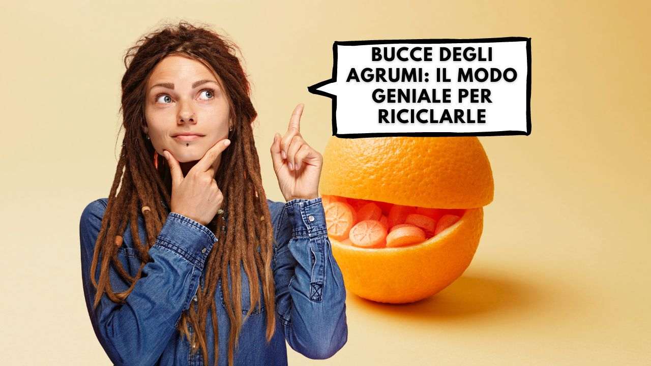 riciclo creativo bucce agrumi