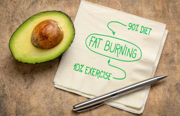 Cosa mangiare per bruciare i grassi in modo veloce ed efficace
