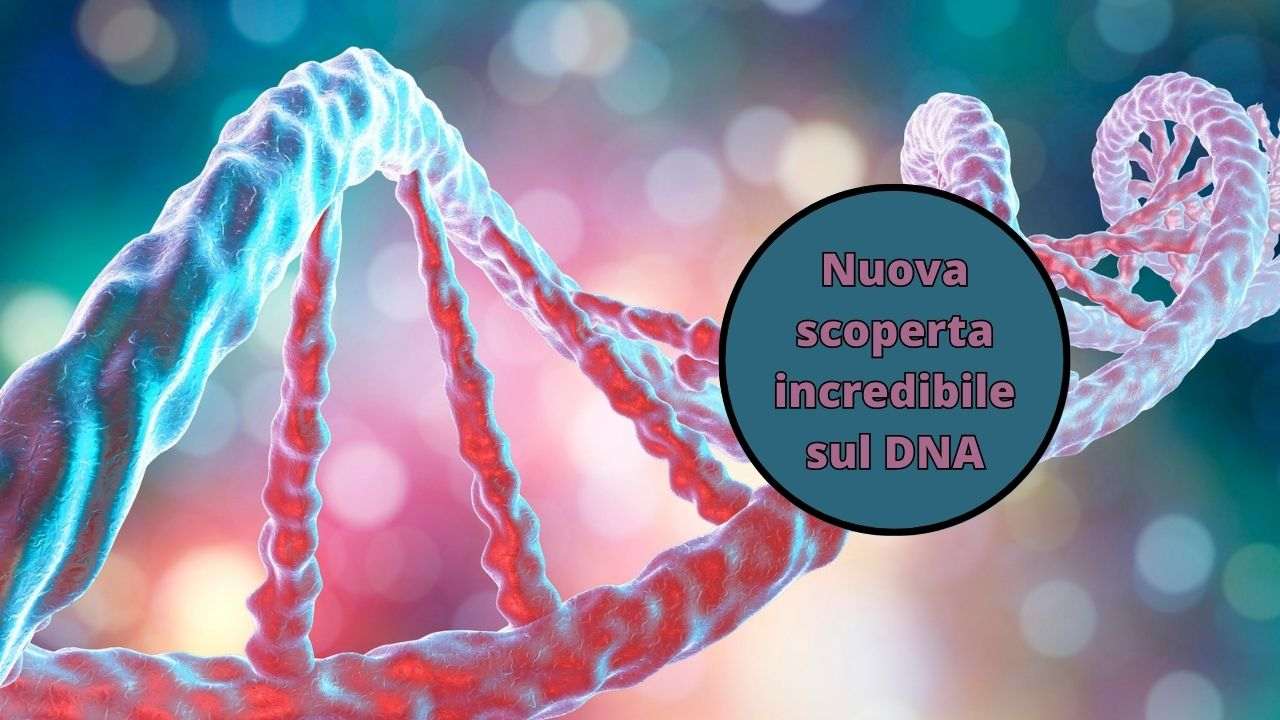 DNA aria biodiversità