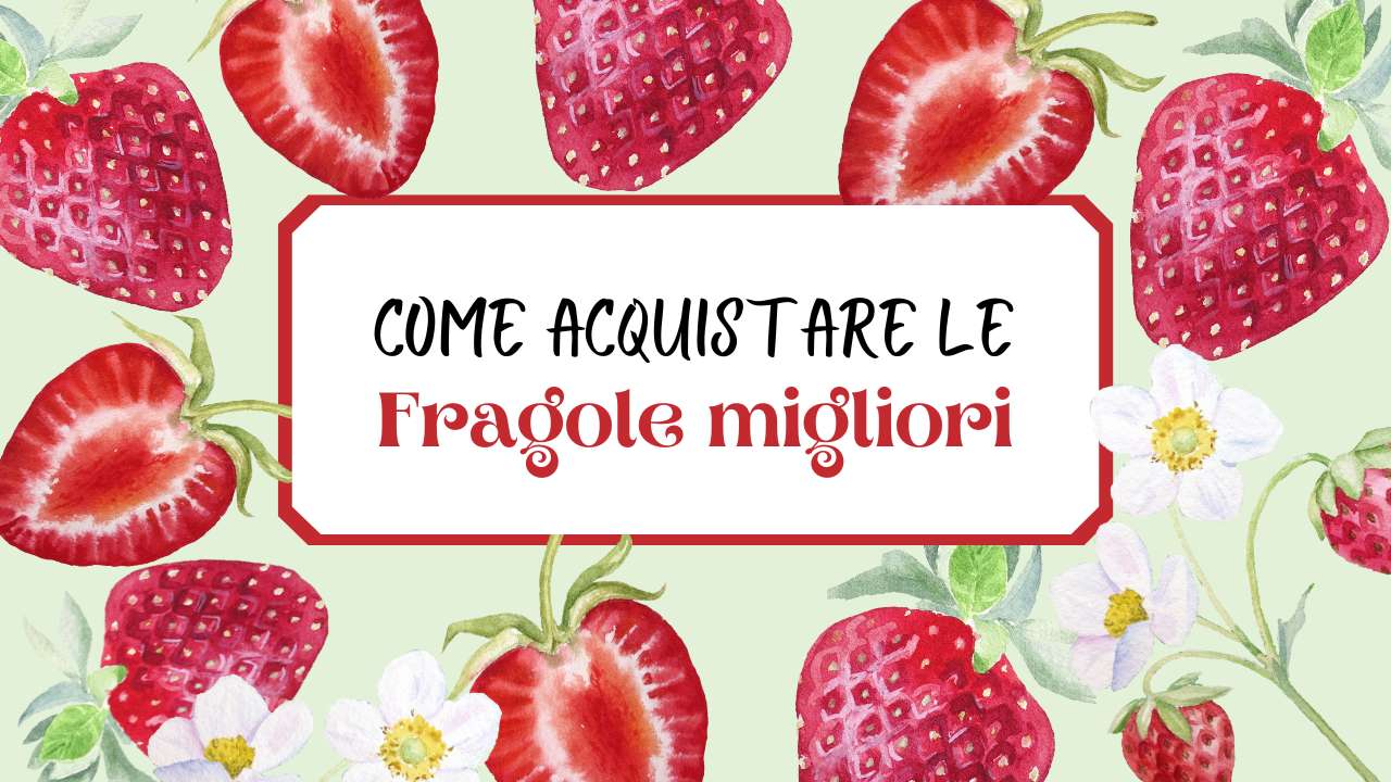 Acquistare fragole migliori