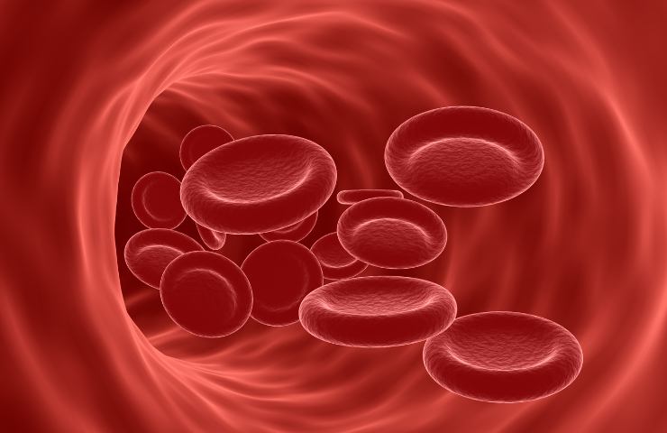 Quali sono i sintomi dell'anemia