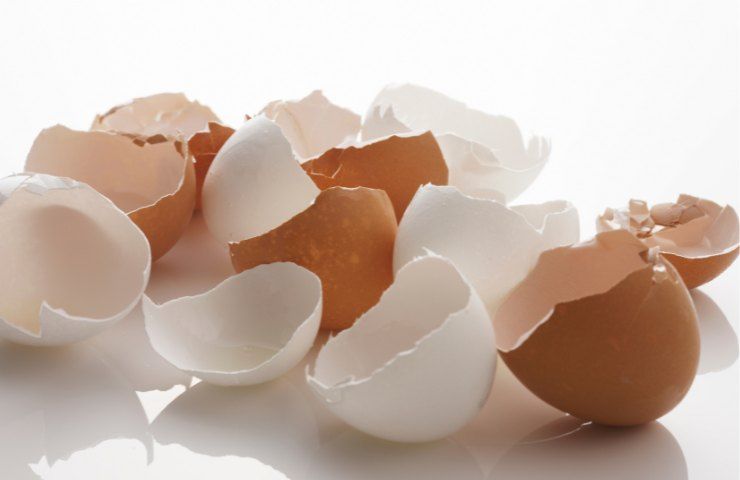 Come utilizzare i gusci delle uova