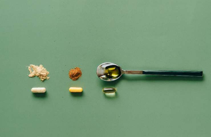 Metabolismo